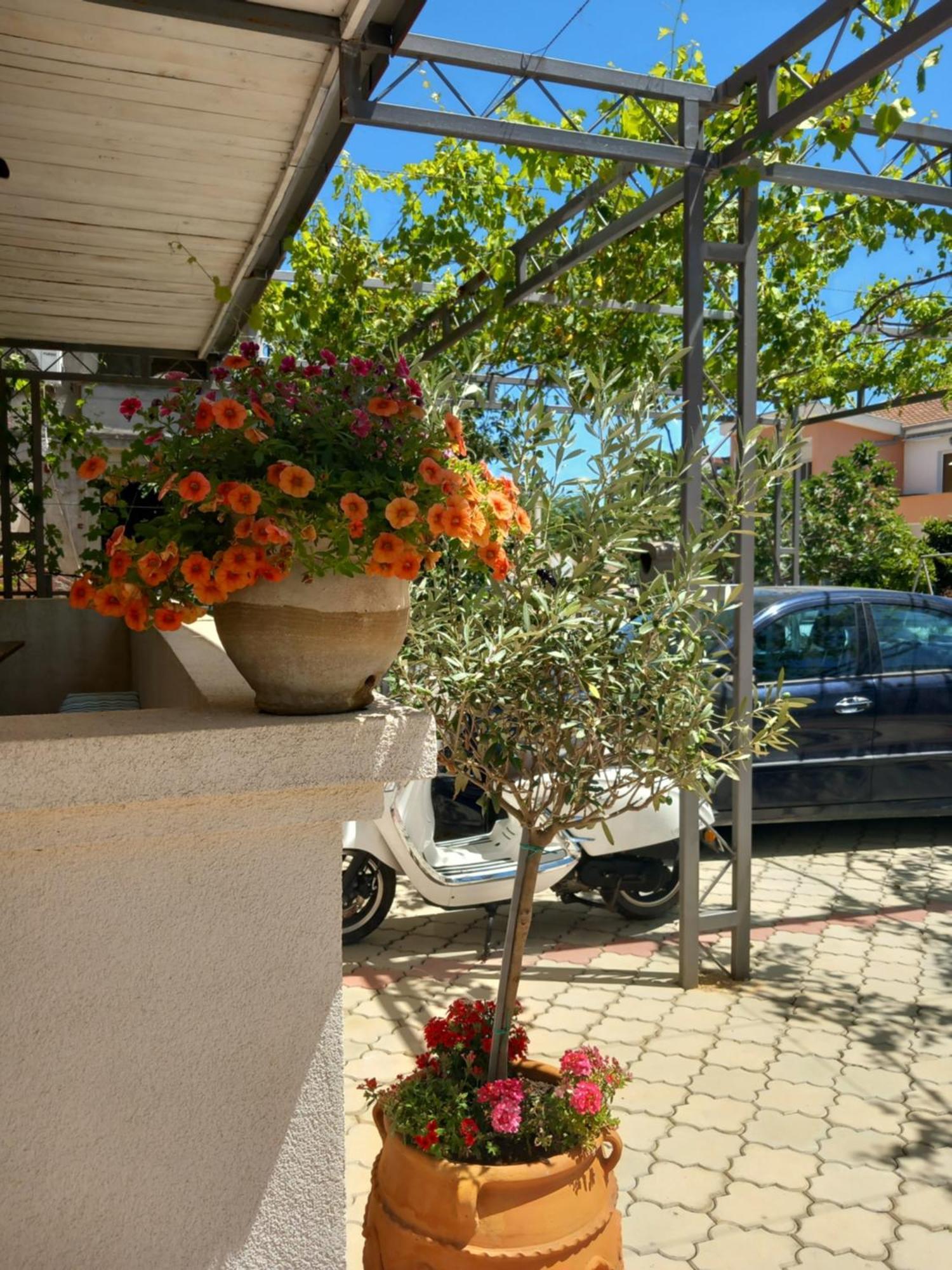 Vila Nina Donji Stoj Ούλτσιν Εξωτερικό φωτογραφία